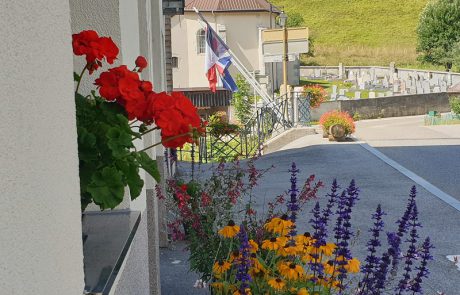 Pont Charlemagne et drapeaux