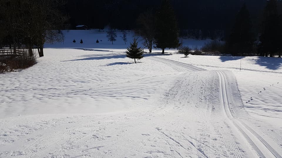 Piste ski de fond - station Mijoux - Monts-Jura