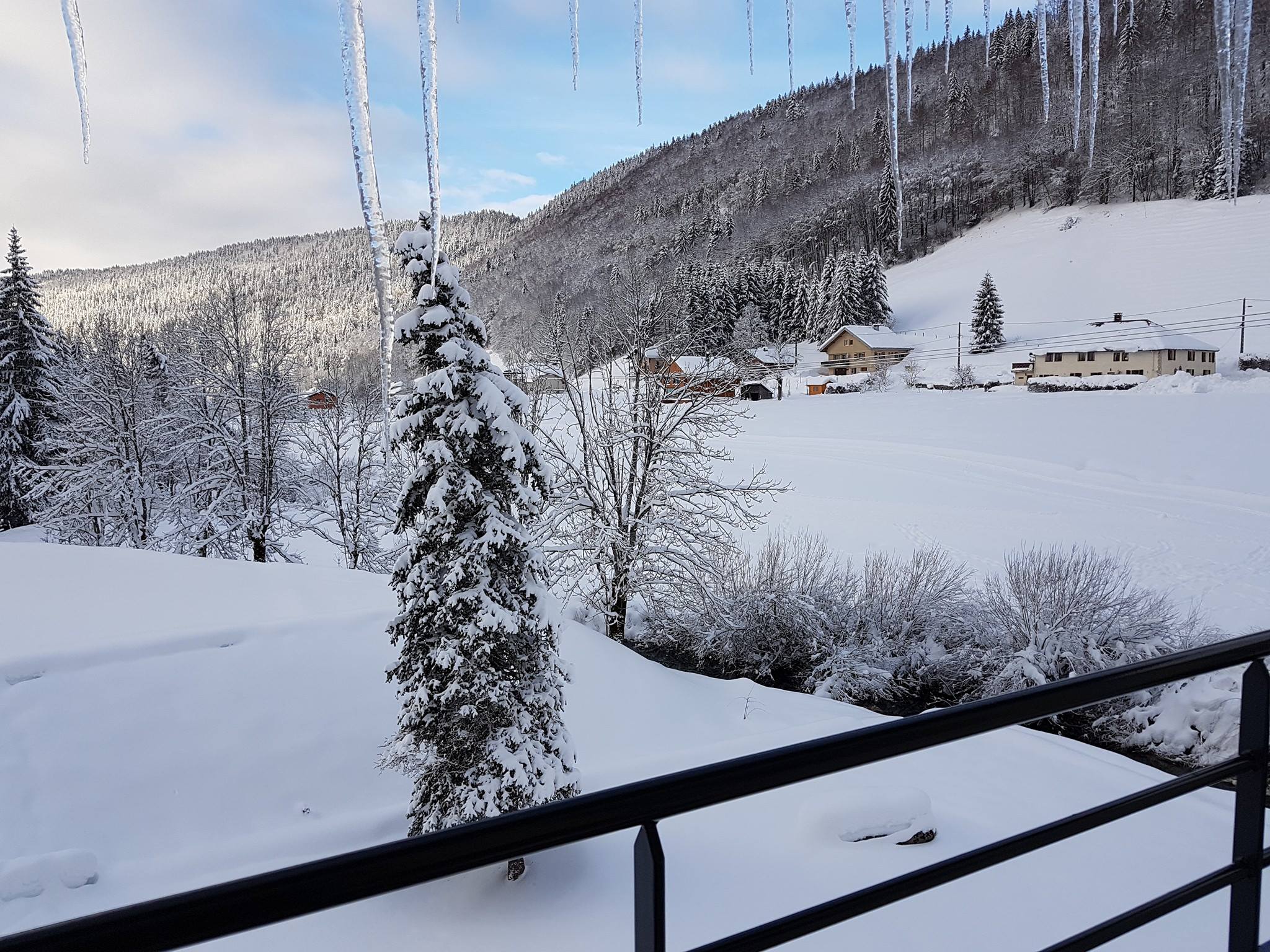Residences Les Tavaillons - winter season