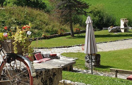 vue sur jardin parasol